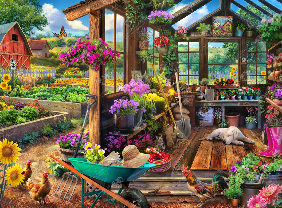 Garden Shed