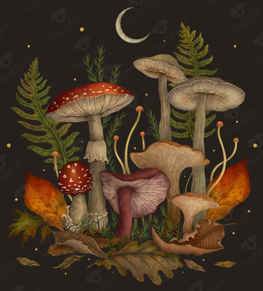 autumn-mushrooms-diamond-art-