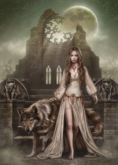 Diamond Painting Belong to the Night 27.6" x 38.6" (69.9cm x 97.8cm) / Square With 61 Colors Including 2 ABs and 2 Fairy Dust Diamonds / 110,433