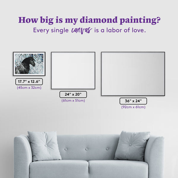 Black and White Diamond Painting | Diamond Art Club™