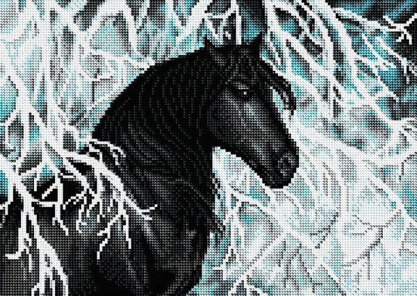 DAC ダイアモンドアートDark  Black and White Diamond Painting | Diamond Art Club™