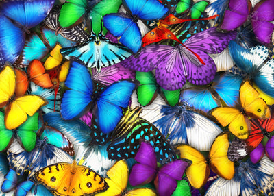 Diamond Painting Butterflies 35.8" x 25.6" (90.8cm x 65cm) / Square with 53 Colors including 3 ABs and 5 Fairy Dust Diamonds / 95,265