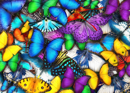 Diamond Painting Butterflies 35.8" x 25.6" (90.8cm x 65cm) / Square with 53 Colors including 3 ABs and 5 Fairy Dust Diamonds / 95,265