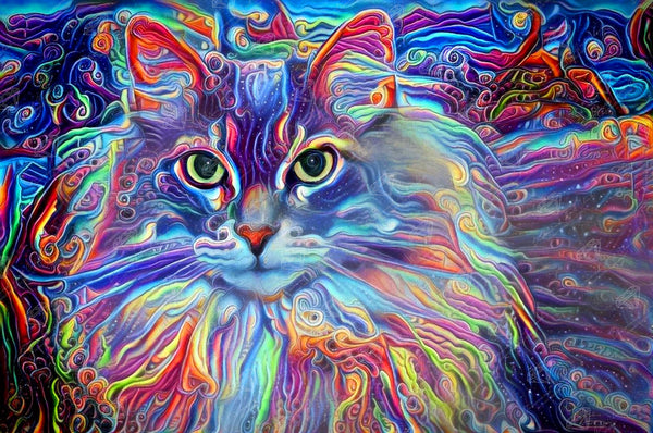 cleo-the-colorful-long-hair-