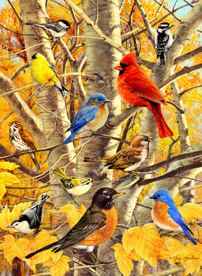 Diamond Painting Fall Birds 22" x 30" (55.8cm x 75.9cm) / Square with 49 Colors including 2 ABs and 5 Fairy Dust Diamonds / 68,320
