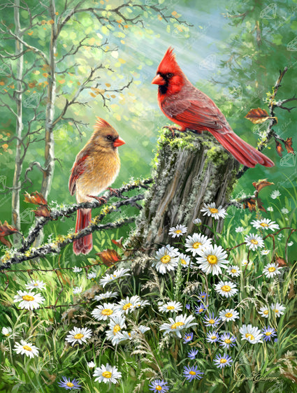 Diamond Painting Golden Light 22" x 29" (55.8cm x 73.7cm) / Square with 82 Colors including 3 ABs and 2 Fairy Dust Diamonds / 66,304