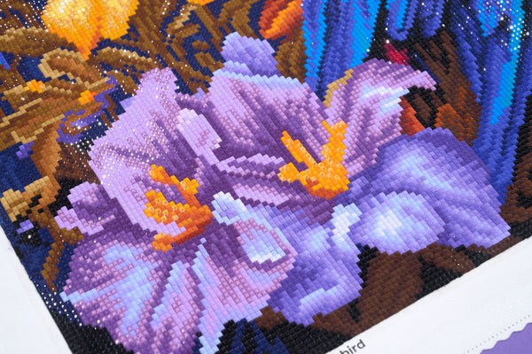 Happy Hummingbird – Diamond Art Club