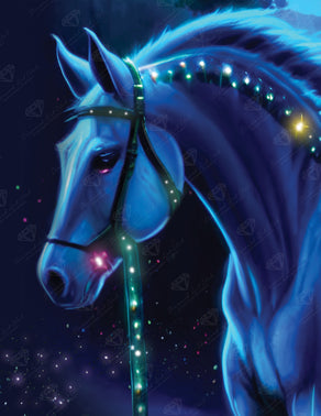 Diamond Painting Midnight Rider 17" x 22" (42.9cm x 55.6cm) / Round with 32 Colors including 2 ABs and 1 Special Diamond and 2 Fairy Dust Diamonds / 31,512