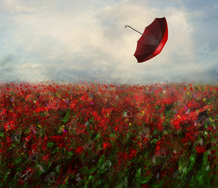 Diamond Painting Not A Care In The World 14.6″ x 12.6″ (37cm x 32cm) / Round With 18 Colors including 1 AB / 14803