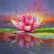 pink lotus diamond art painting 31421843144897 82a6a76b 21f2 48d2 a516 788eb624ae6b