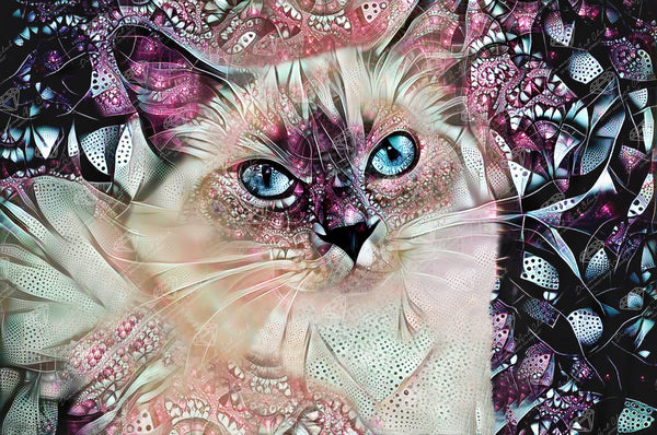 Pink Ragdoll Cat – Diamond Art Club