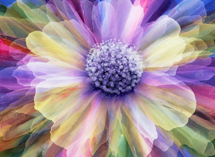 Diamond Painting Popping with Color 30" x 22" (75.9cm x 55.6cm) / Round with 63 Colors including 3 ABs and 2 Fairy Dust Diamonds / 55,752