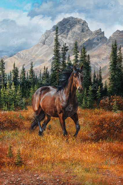 Diamond Painting Rocky Mountain Freedom 25.6" x 38.6" (65cm x 98cm) / Square with 44 Colors including 3 ABs / 102,573