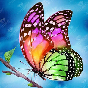 Diamond Painting Watercolor Butterfly 13" x 13" (32.8cm x 32.8cm) / Round with 42 Colors including 3 ABs and 2 Fairy Dust Diamonds / 13,689
