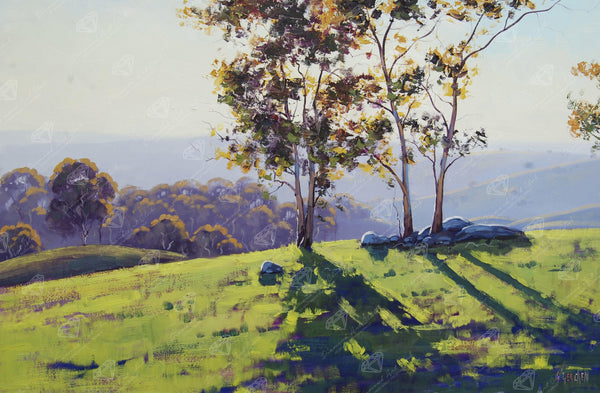 afternoon-light-cuthill-road-