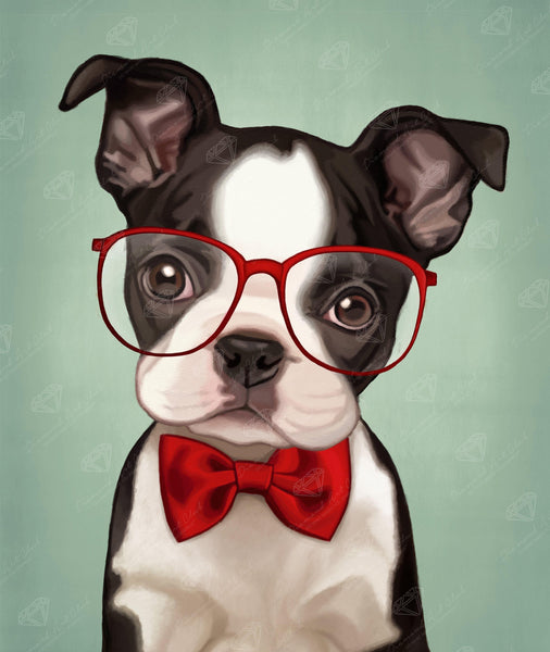 Hipster Boston Terrier Diamond Art Club