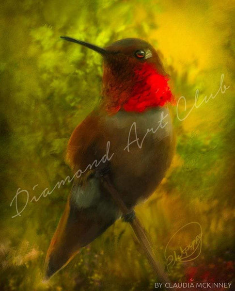 Diamond Painting - Special Shape - Love Hummingbird  Cattle(30*30cm)-1041573.09