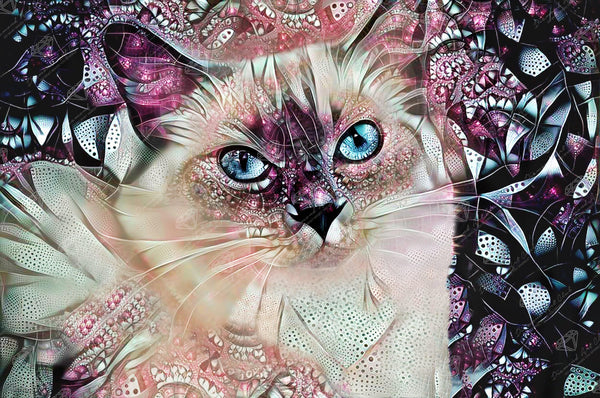 Pink Ragdoll Cat – Diamond Art Club