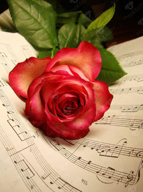 Diamond Painting Rose Music Sheet 7.9" x 10.6" (20cm x 27cm) / Round With 22 Colors including 1 AB / 6,745