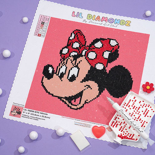 DAC minnie canvas with tools