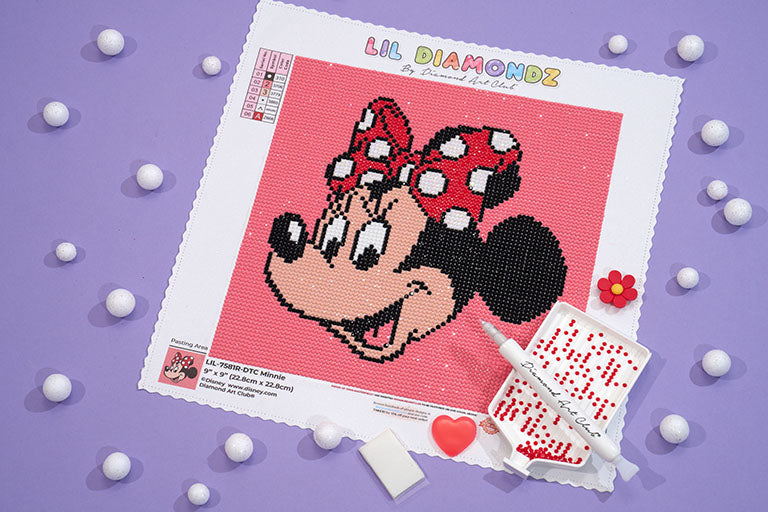 DAC minnie canvas with tools