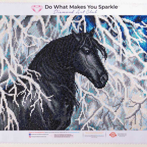 horse bust diamond art