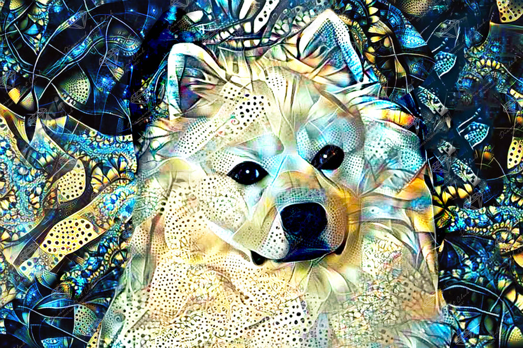 Arthur the American Eskimo Dog