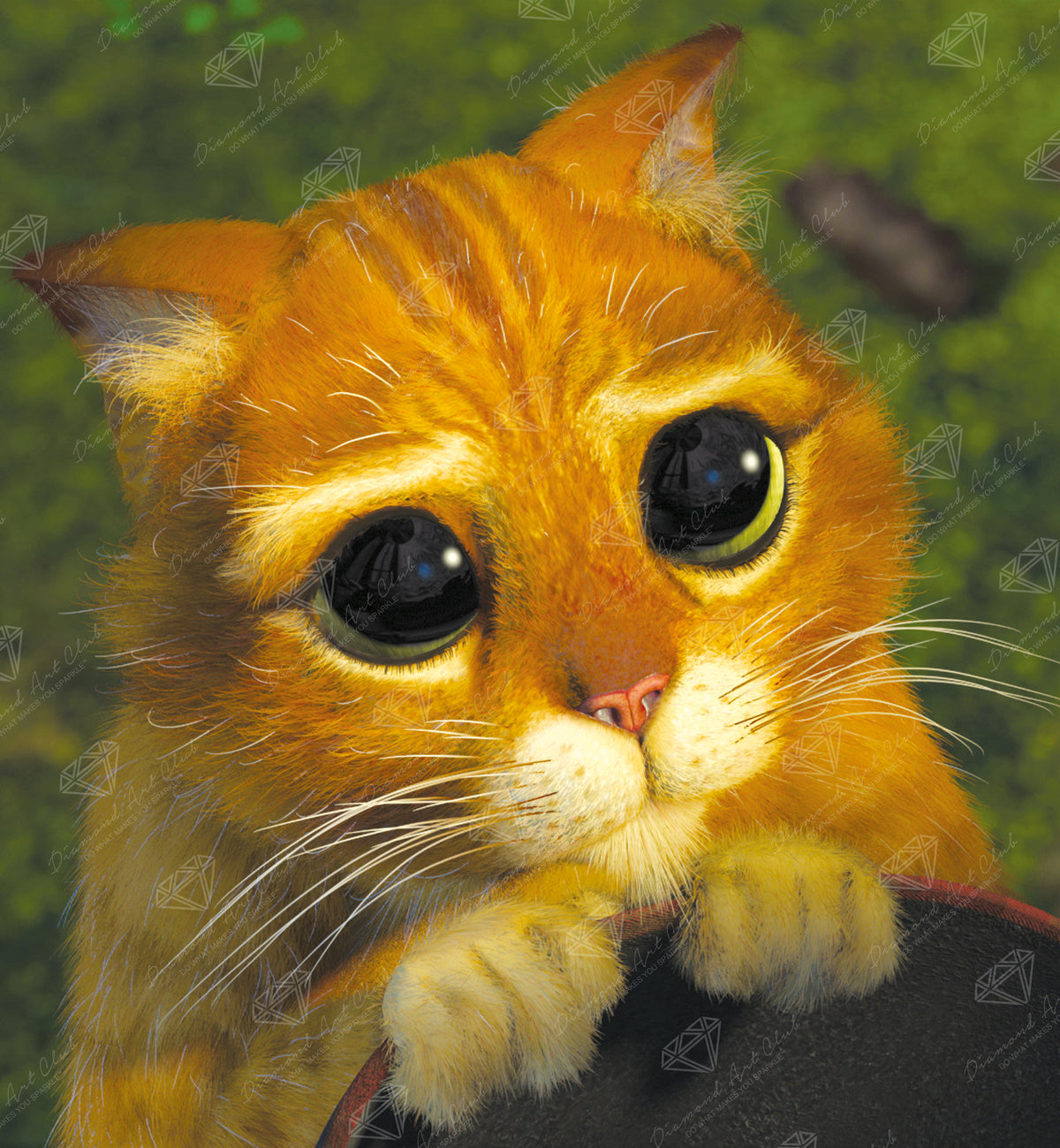 Cute Eyes
