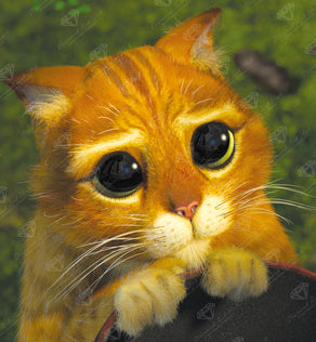 Cute Eyes