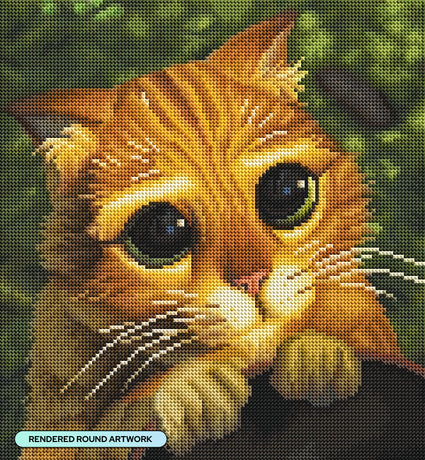 Cute Eyes
