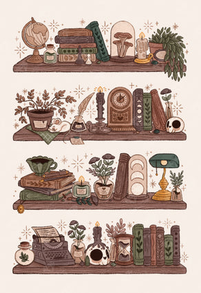 Dark Academia Shelves