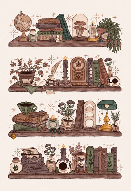Dark Academia Shelves