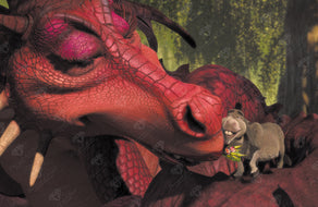 Donkey and Dragon