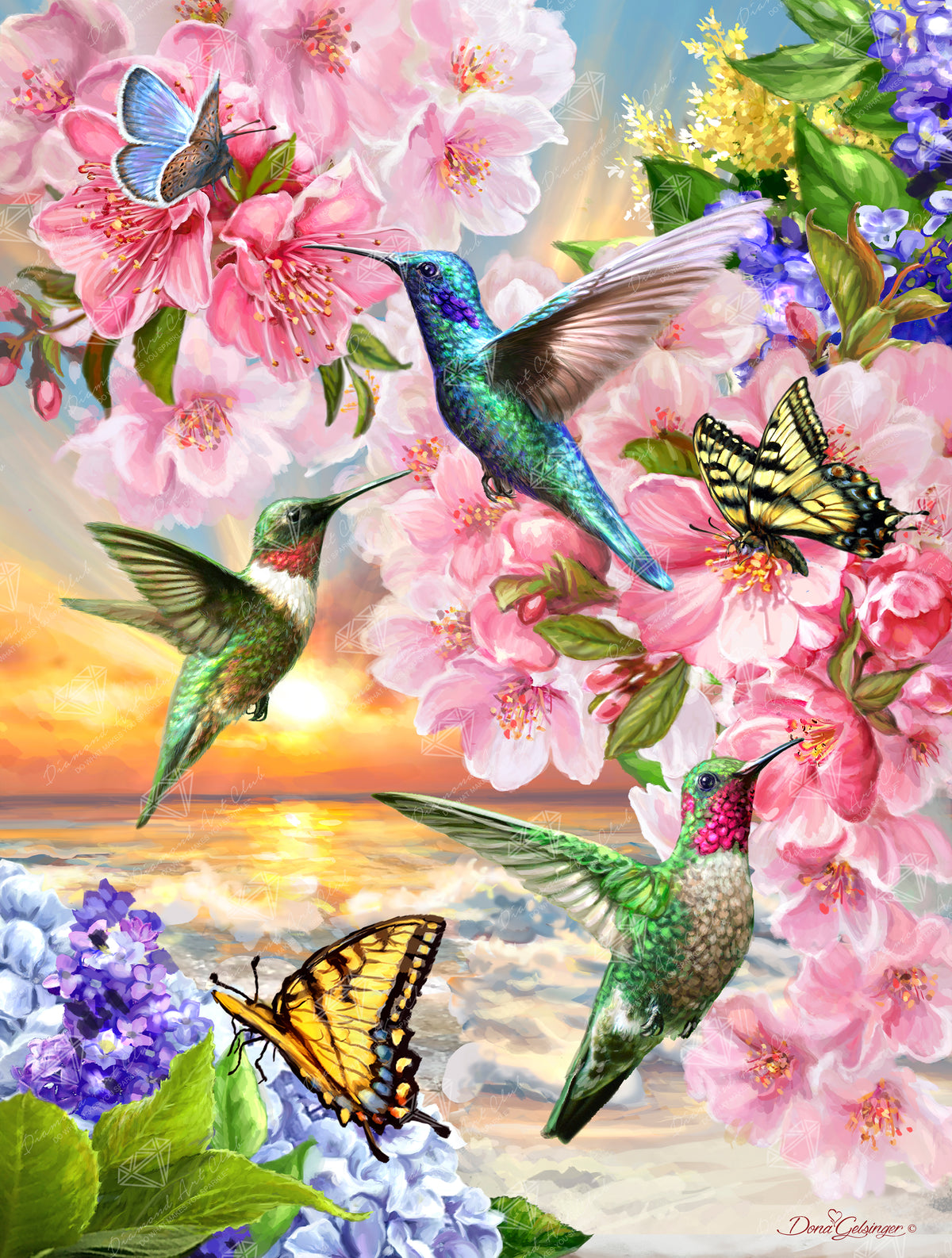 Hummingbirds Sunset