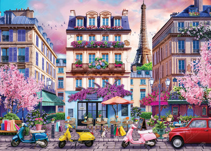 Paris Shopping District
