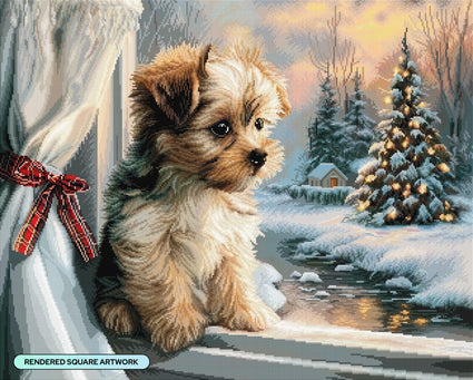 Winter Miracle