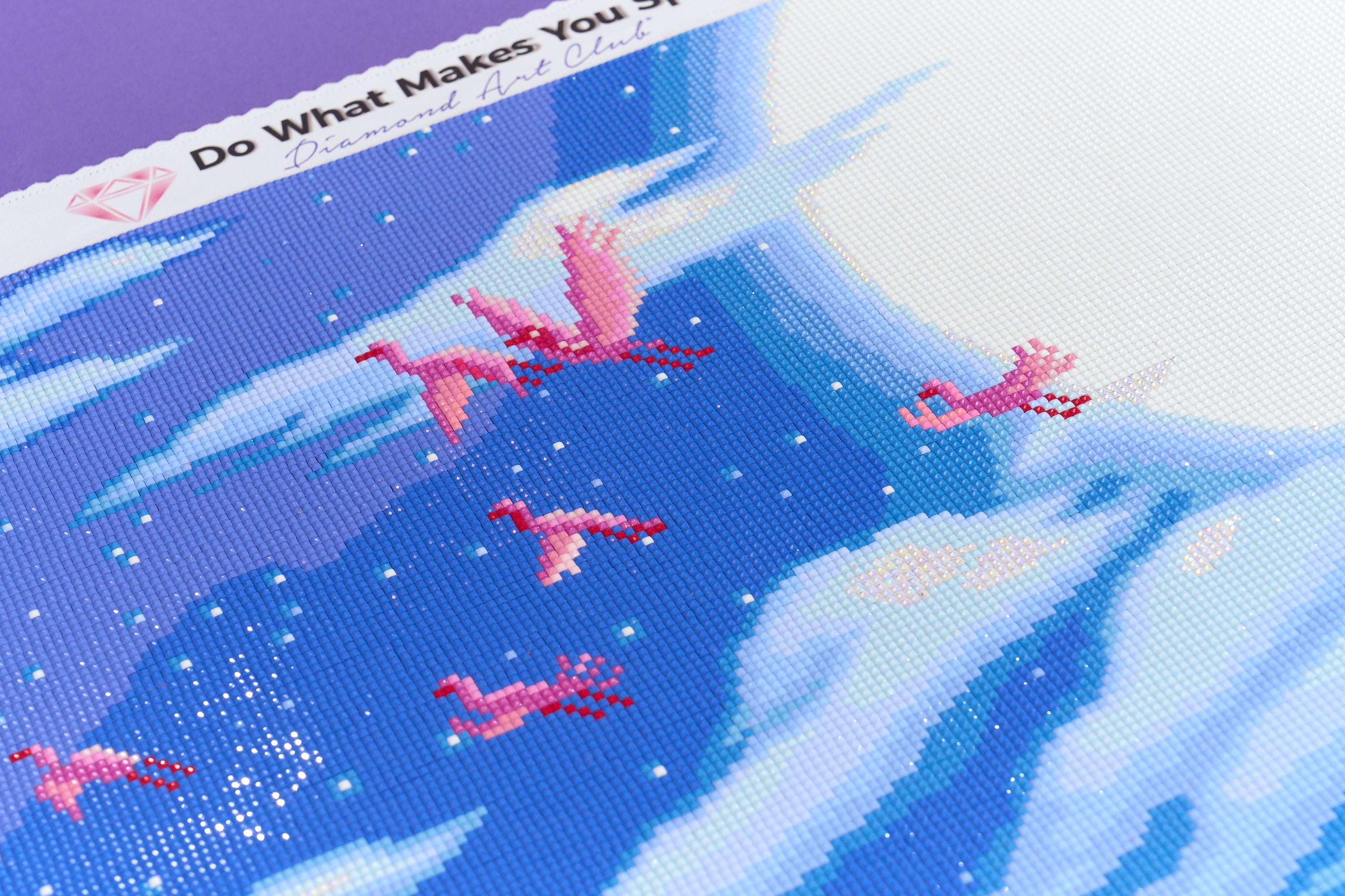 A Whole New World – Diamond Art Club