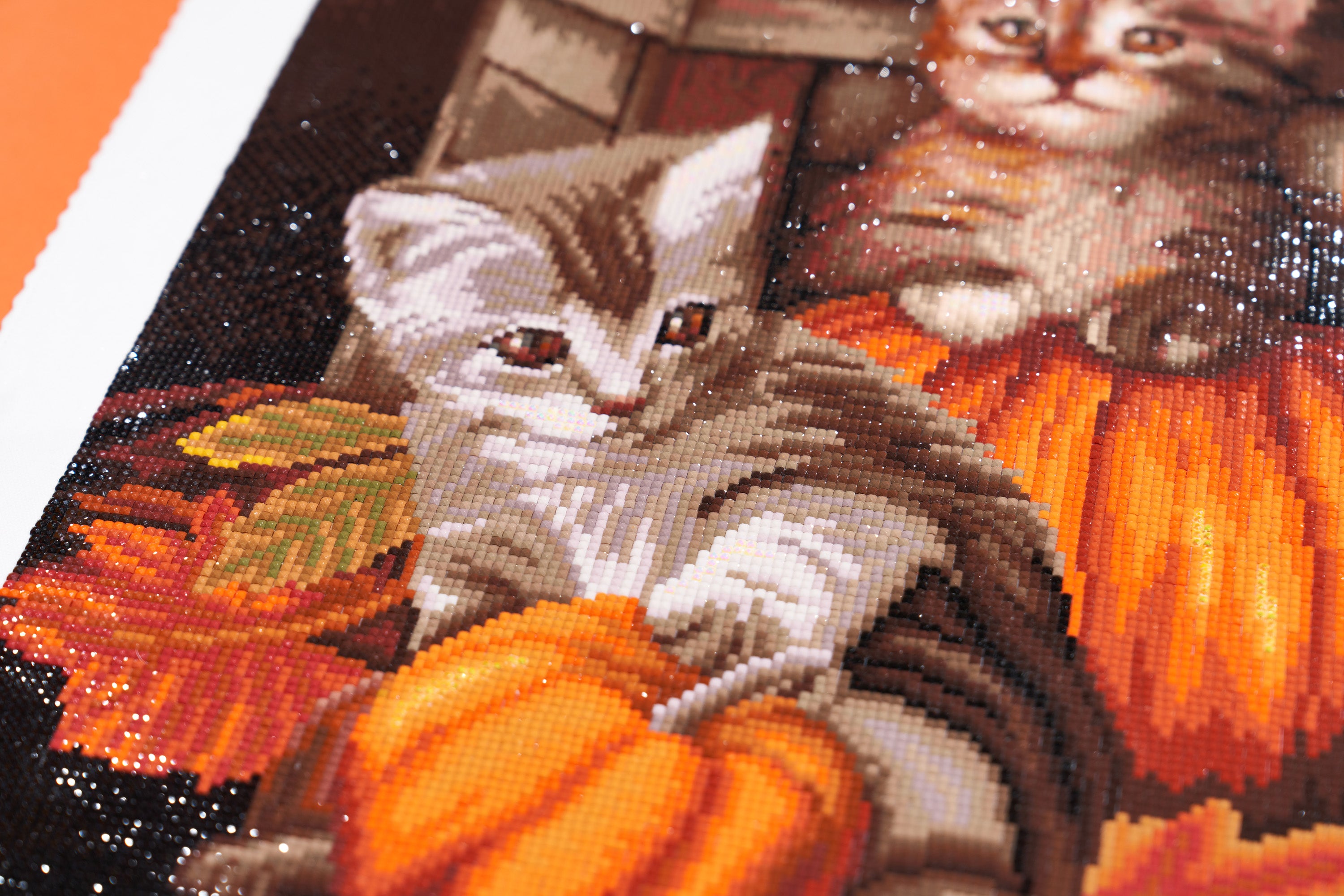 Autumn Kittens – Diamond Art Club