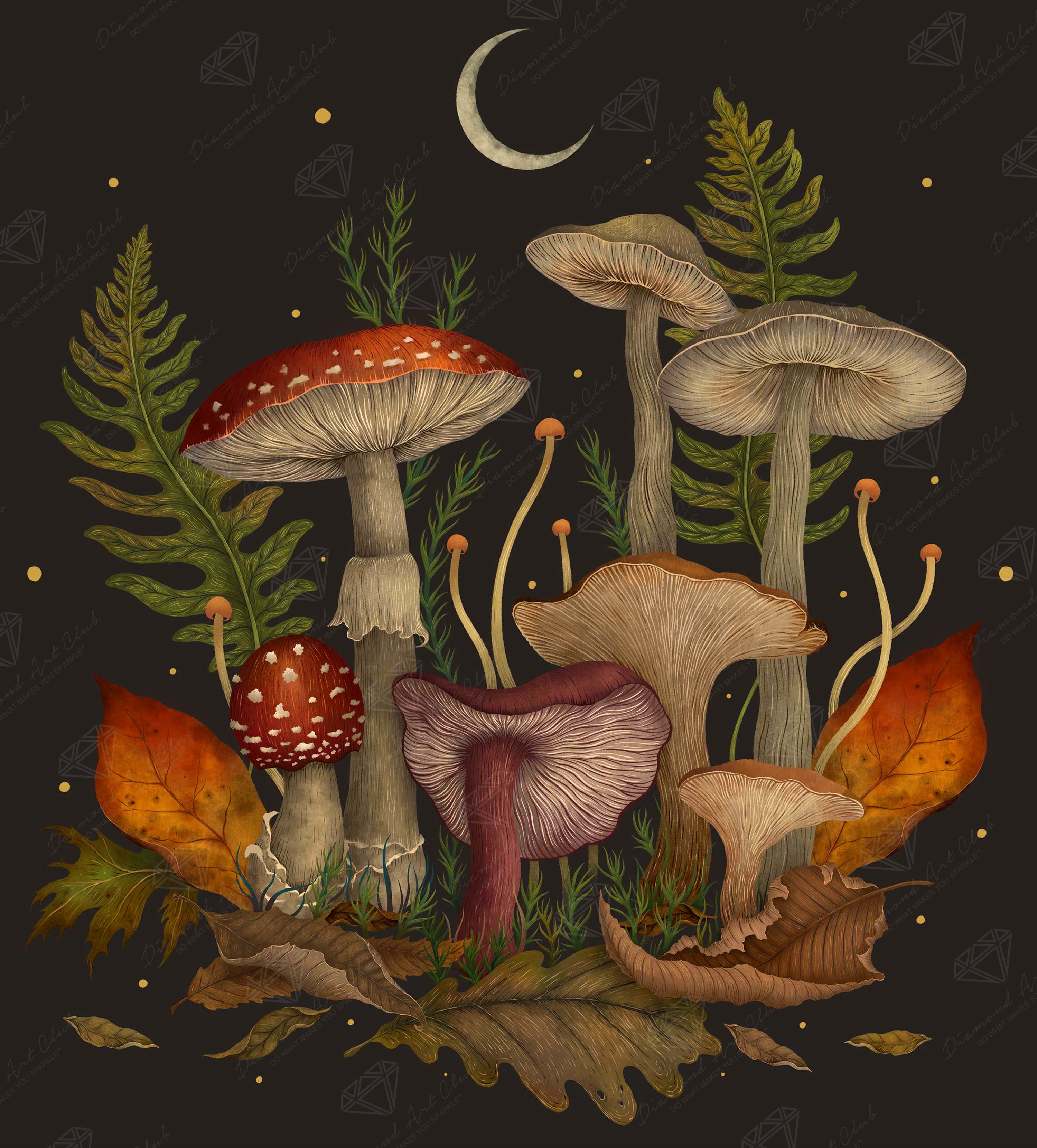 kumiさん専用☆ ダイヤモンドアートクラブ Mushroom Forest 【公式通販】