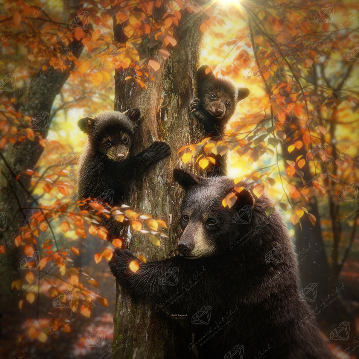 Diamond Painting Black Bears 25.6" x 25.6" (65cm x 65cm) / Square with 32 Colors including 2 ABs and 2 Fairy Dust Diamonds / 68,121