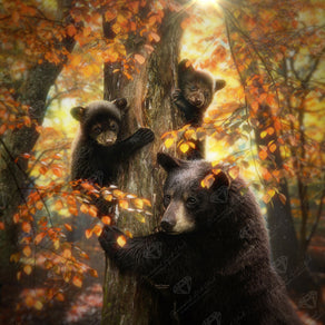 Diamond Painting Black Bears 25.6" x 25.6" (65cm x 65cm) / Square with 32 Colors including 2 ABs and 2 Fairy Dust Diamonds / 68,121