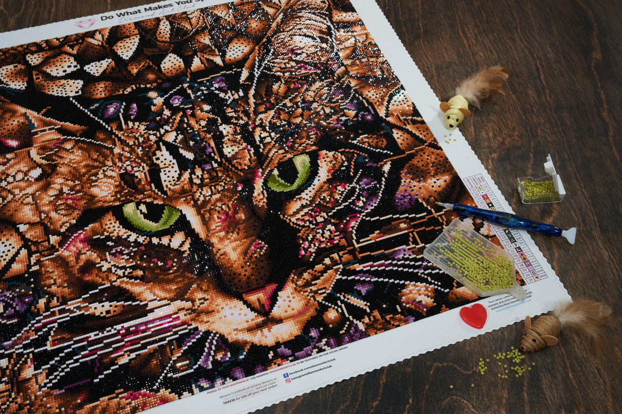 Diamond Painting Bud the Tabby Cat 22" x 22" (55.8cm x 55.8cm) / Square with 21 Colors including 2 ABs / 50,176