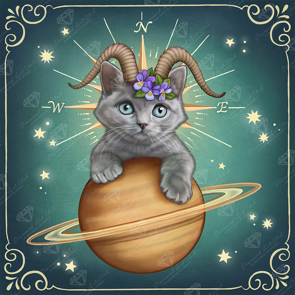 Capricorn Zodiac Kitten