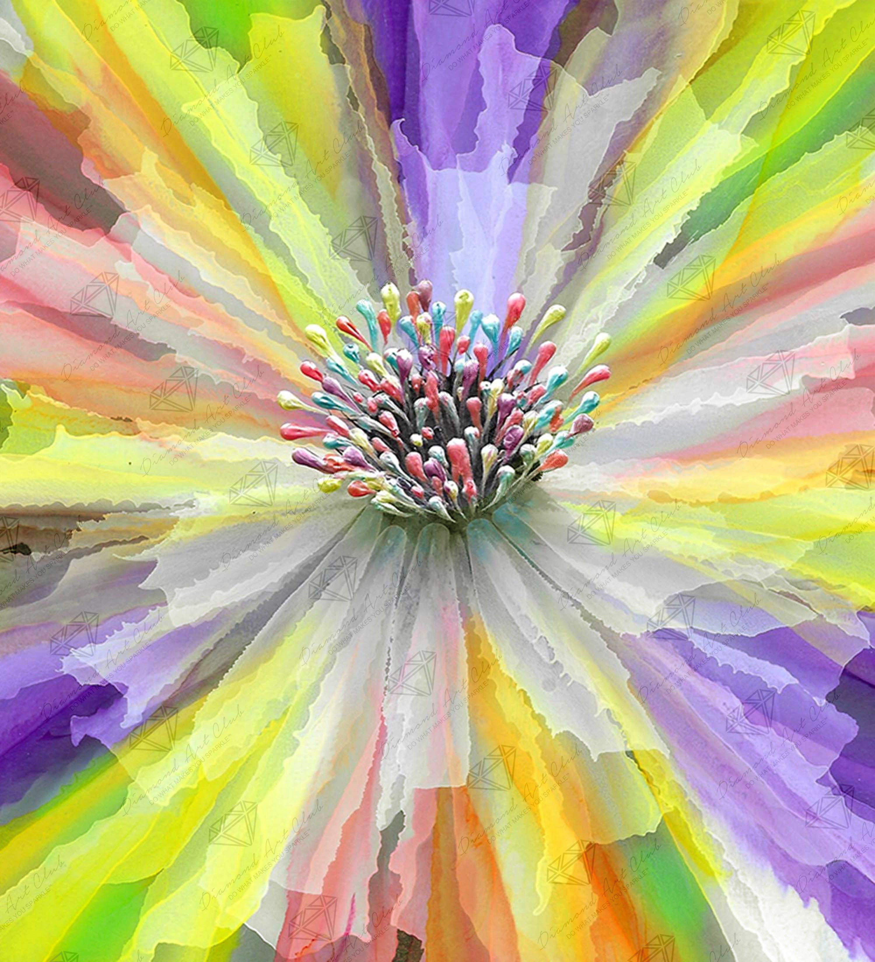 Abstract Color Explosion Color Explosion Art