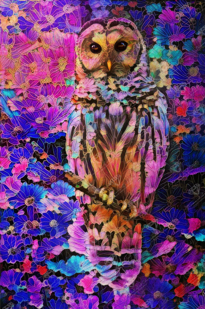 Colorful Owl