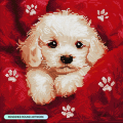 Diamond Painting Cuddles 13" x 13" (33cm x 33cm) / Round with 28 Colors including 1 AB and 3 Fairy Dust Diamonds / 14,400