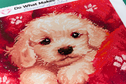 Diamond Painting Cuddles 13" x 13" (33cm x 33cm) / Round with 28 Colors including 1 AB and 3 Fairy Dust Diamonds / 14,400