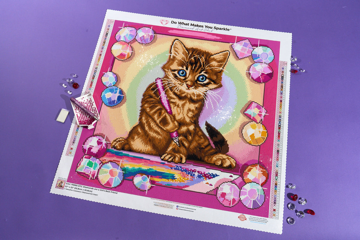 Diamond Painting Diamonds are a Girl's Best Friend 22" x 22" (55.8cm x 55.8cm) / Square with 74 Colors including 2 ABs and 4 Fairy Dust Diamonds / 50,176