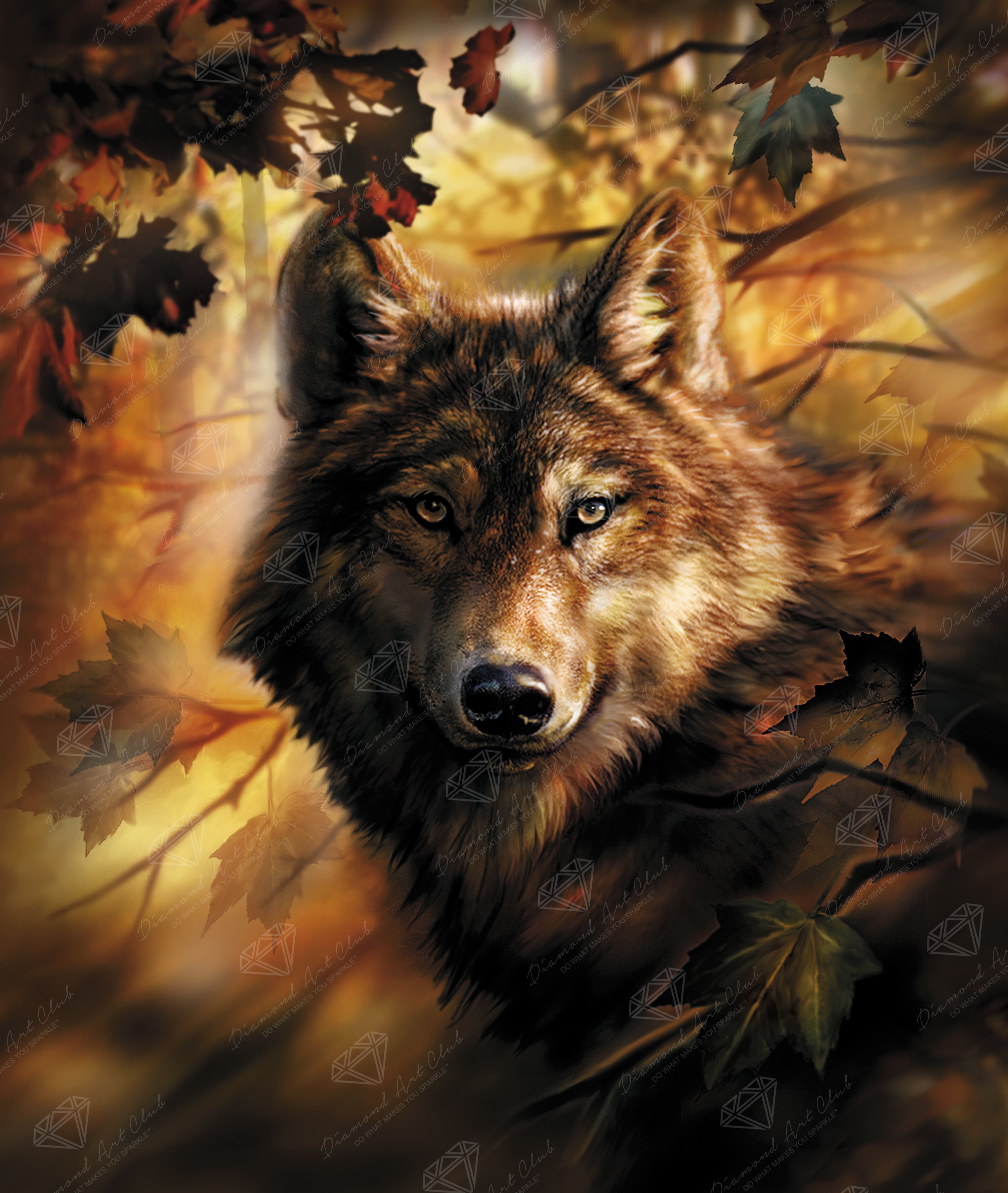 Evening Glow Wolf – Diamond Art Club