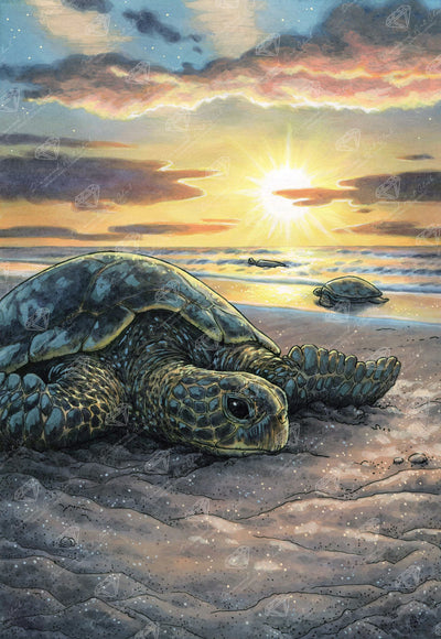 Diamond Painting Everyday Witch's Familiars - The Sea Turtle 22" x 32" (55.8cm x 80.9cm) / Square with 61 Colors including 2 ABs and 2 Fairy Dust Diamonds / 72,800